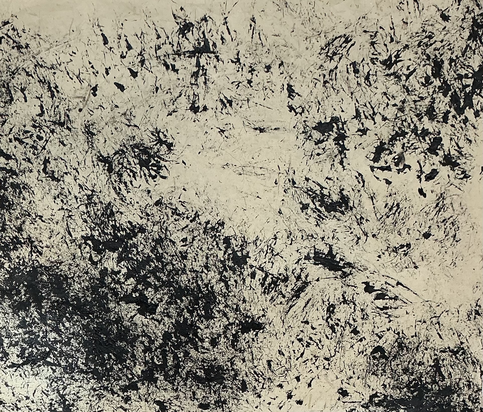 Serie Les Herbes Folles - 70 x 80 cm - 2026