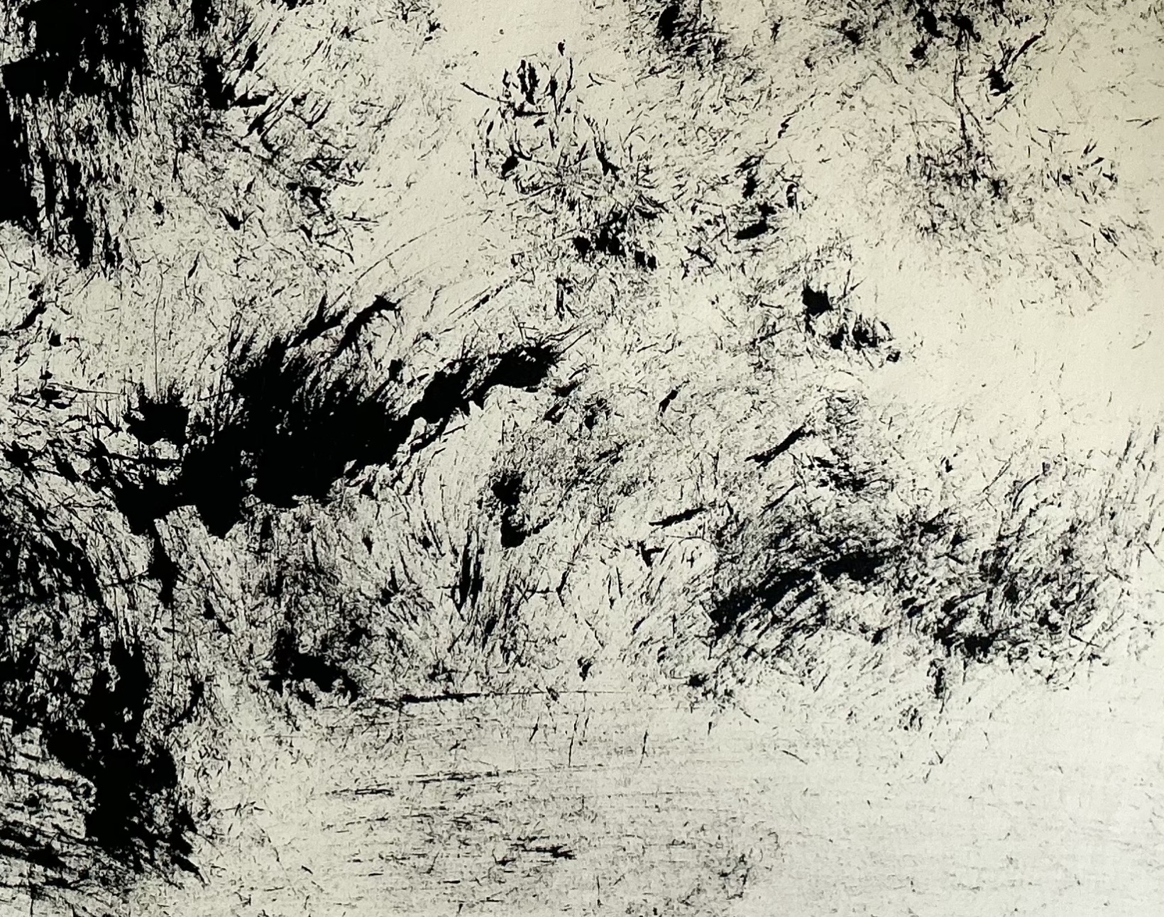 Serie Les Herbes Folles - 30 x 40 cm - 2026