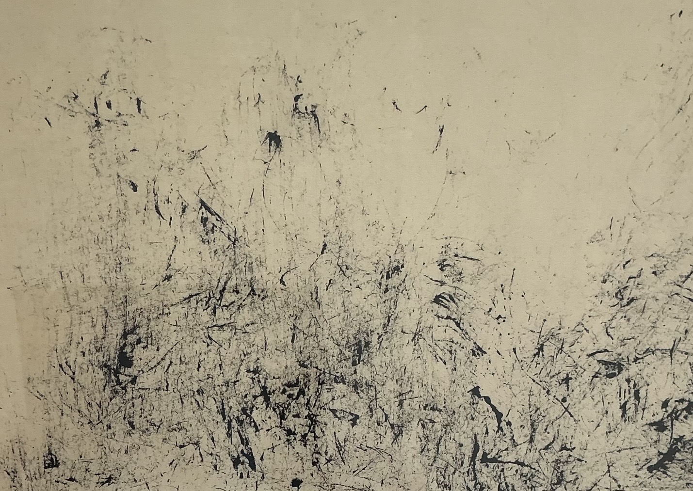 Serie Les Herbes Folles - 30 x 40 cm - 2026