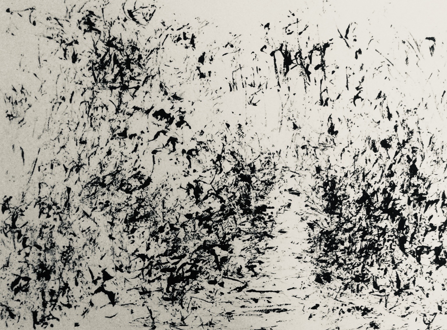 Serie Les Herbes Folles - 40 x 50 cm - 2025