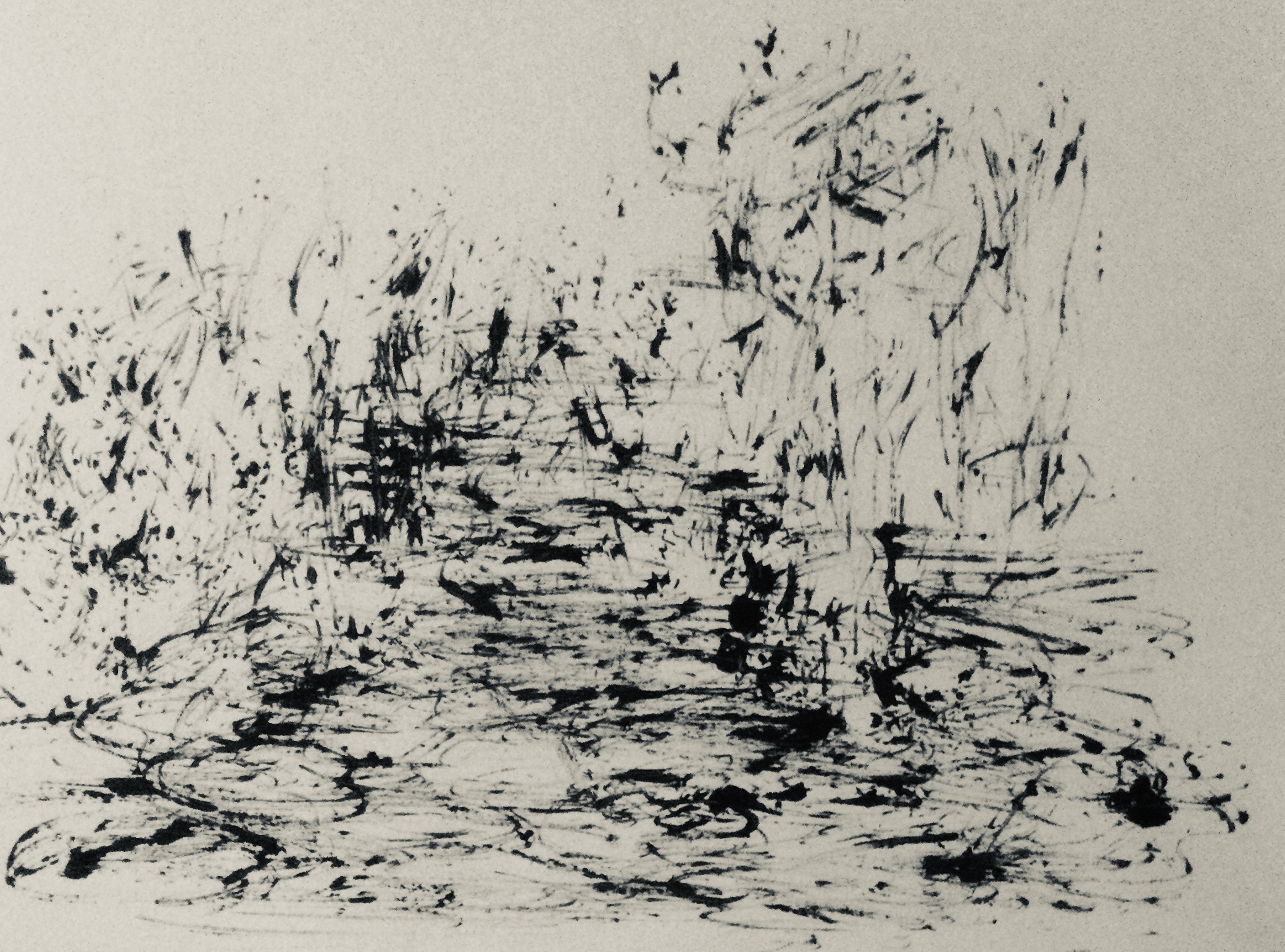 Serie Les Herbes Folles - 40 x 50 cm - 2025
