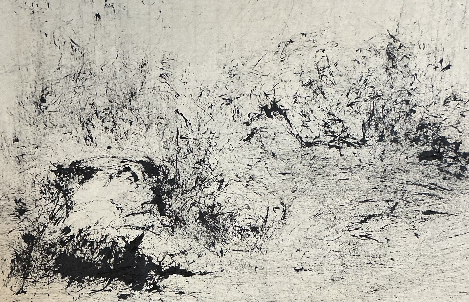 Serie Les Herbes Folles - 40 x 50 cm - 2026